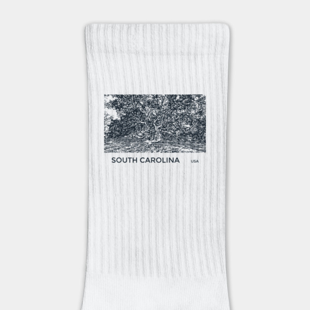 South Carolina USA by Lakeric