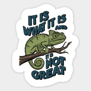 It Is What It Is And It Is Not Great Sarcastic Quote Magnet