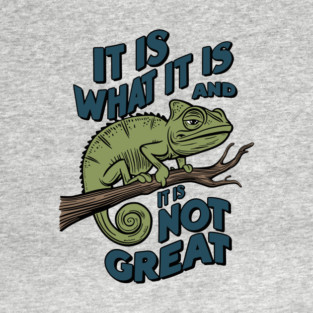 It Is What It Is And It Is Not Great Sarcastic Quote T-Shirt