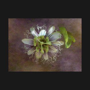 Passion Flower Digital Art T-Shirt