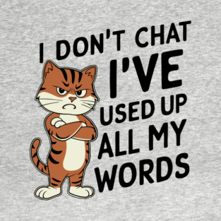I Don't Chat I've Used Up All My Words Introvert T-Shirt