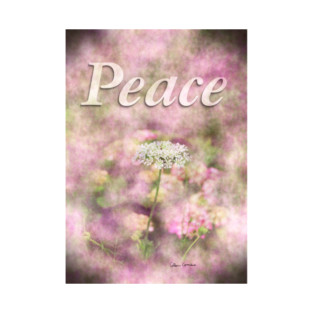 Peace-Queen Anne's Lace T-Shirt