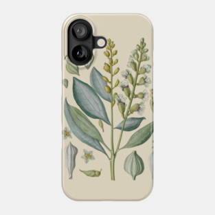Vintage Cardamom Botanical Illustration Phone Case
