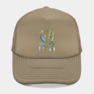 Vintage Cardamom Botanical Illustration Hat