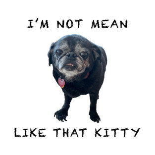 I'm Not Mean Like That Kitty T-Shirt