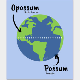 Opossum / Possum Posters and Art