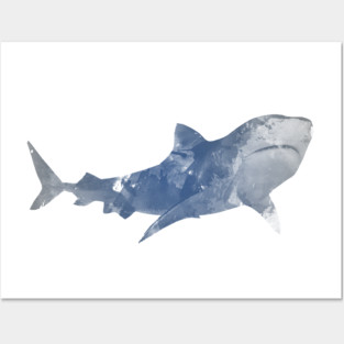 Shark Posters and Art