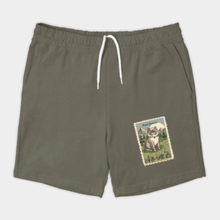 Grey White Persian Cat Persian Kittens Lover Wyoming Hike Shorts