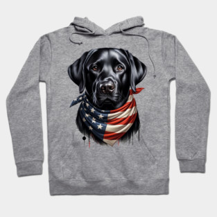 Black Labrador Retriever: America Hoodie