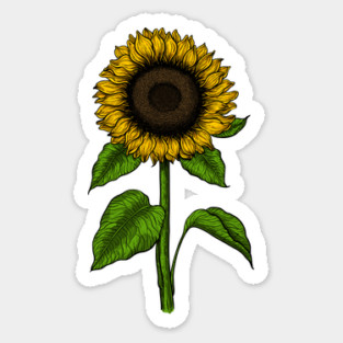 Sunflower Sticker