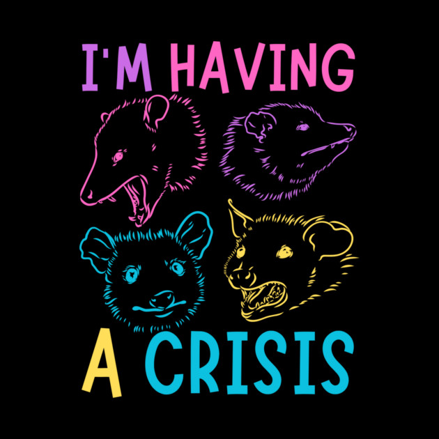 I'm Having A Crisis Possum Meme by The WYLD Tribe