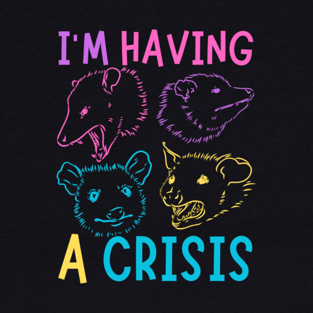 I'm Having A Crisis Possum Meme by The WYLD Tribe