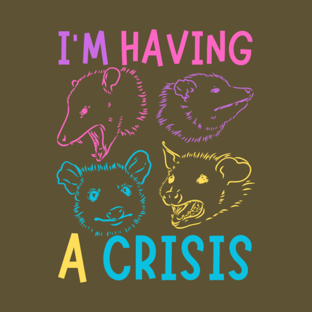 I'm Having A Crisis Possum Meme by The WYLD Tribe