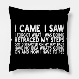i came, i saw i forgot what i was doing retraced my steps got distracted on my way back have no idea what's going on and now i have to pee Pillow