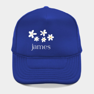 James band fanart Hat