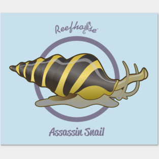 Assassin Snail Posters and Art