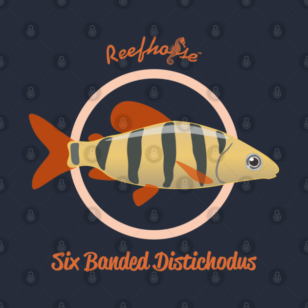 Six Banded Distichodus by Reefhorse