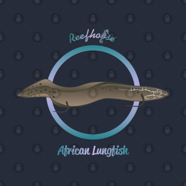 African Lungfish by Reefhorse