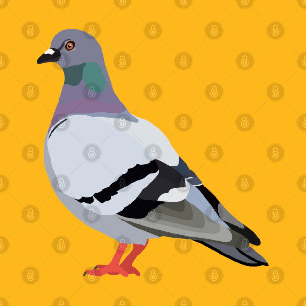 Pigeon by ElviaMontemayor