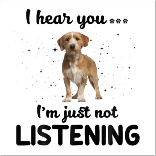 Basset Fauve de Bretagne I hear you...I'm just not listening Posters and Art