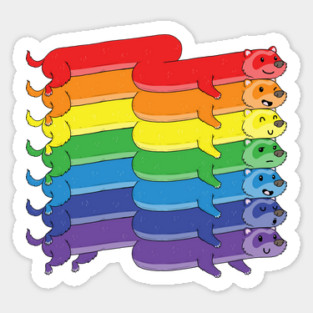 Pride Ferrets Magnet