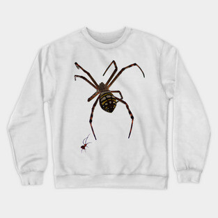 Spider Crewneck Sweatshirt