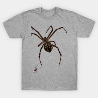 Spider T-Shirt