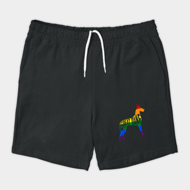 Rainbow Great Dane Pride - Pride Month - LGBT Gifts - Pride Flag Great Dane by Yesteeyear