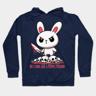 Do I Look Like a People Person? Hoodie