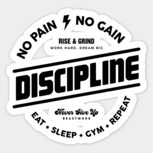 DISCIPLINE Sticker