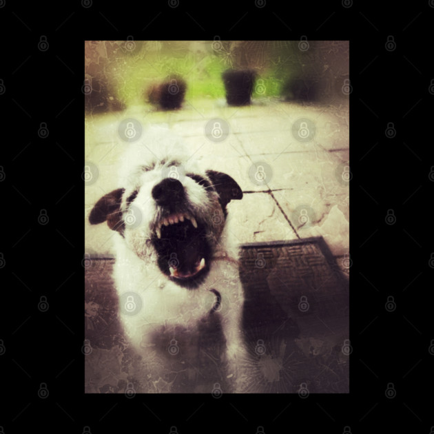 Angry Jack Russell by everyplatewebreak tees