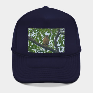 Hla roadside hawk Hat