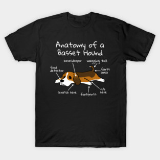 Anatomy Of A Basset Hound T-Shirt