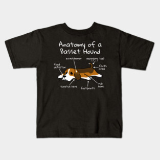 Anatomy Of A Basset Hound Kids T-Shirt