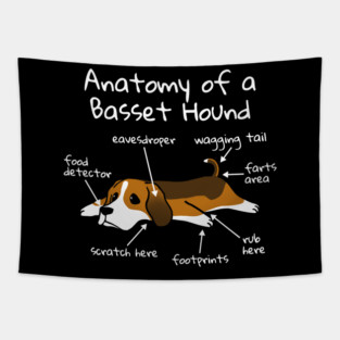 Anatomy Of A Basset Hound Tapestry