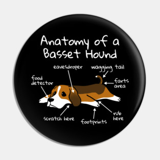 Anatomy Of A Basset Hound Pin