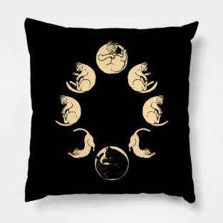 Meow Cycle Pillow