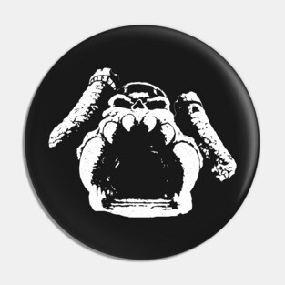 From Eternia, The Castle Grayskull and He-Man and the Masters of the Universe Pin