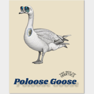 Poloose Goose Posters and Art