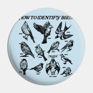 How to Identify Birds Pin