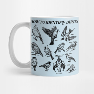 How to Identify Birds Mug