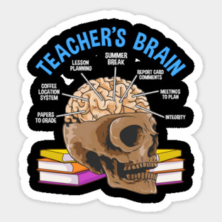 Teacher’s Brain Anatomy because Teachers love brains Funny Humor Gift Magnet