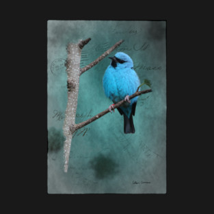 Blue Bird on Branch Mixed Media T-Shirt