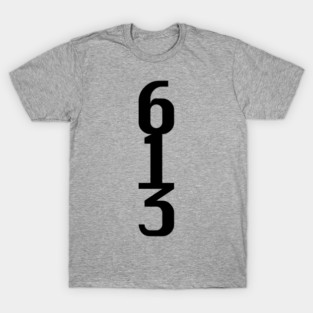 613 T-Shirt