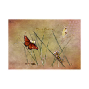 Painted Lady Mixed Media T-Shirt