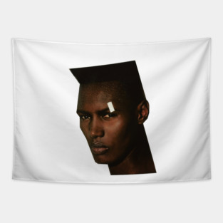 grace jones - living my life Tapestry