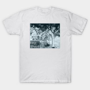 BIG THIEF T-Shirt