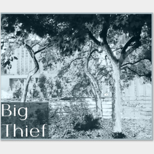 BIG THIEF Posters and Art