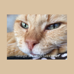 Georgia the cat T-Shirt