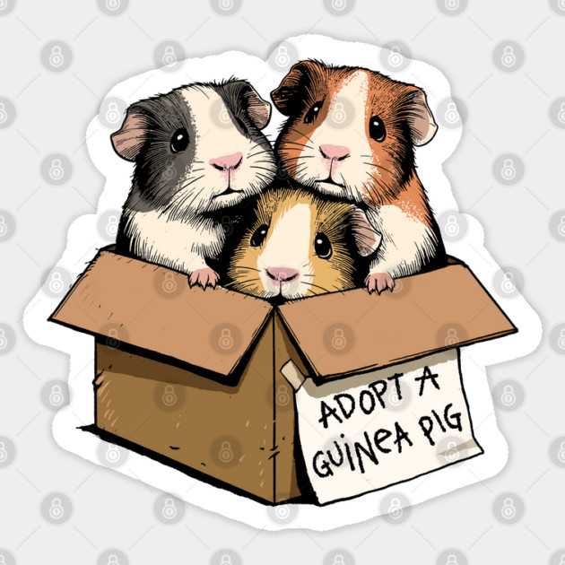 Adopt a Guinea Pig Sticker by GoshWow®